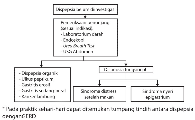 Alur diagnosis dan pemeriksaan pada sindrom dispepsia