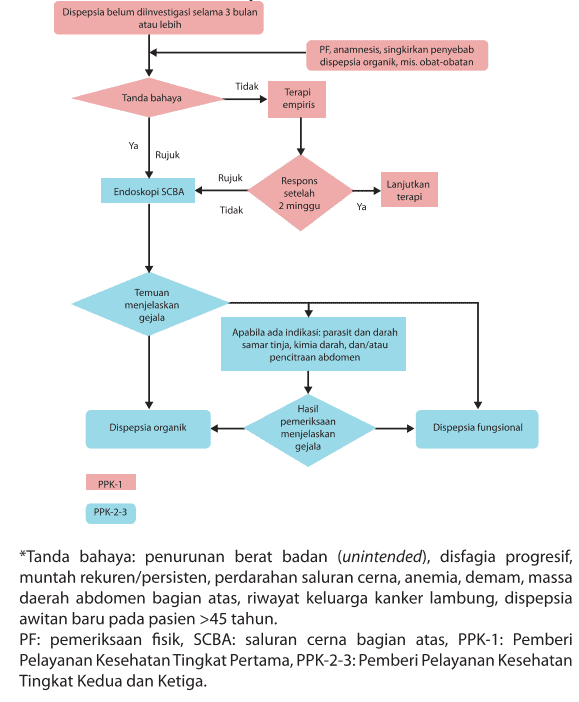 Tatalaksana dispepsia di Indonesia