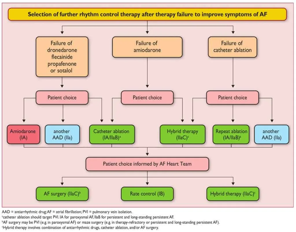 Pilihan terapi ketika control rhythm gagal memperbaiki gejala atrial fibrilasi