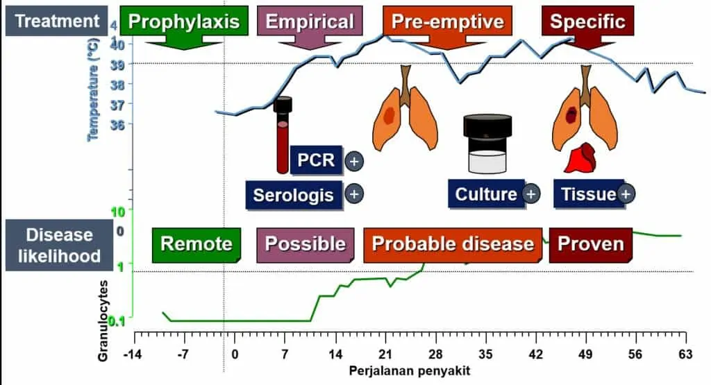 Tahap diagnosis infeksi jamur invasif