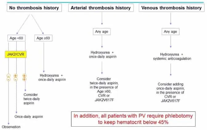 Alur pengobatan polycythemia vera