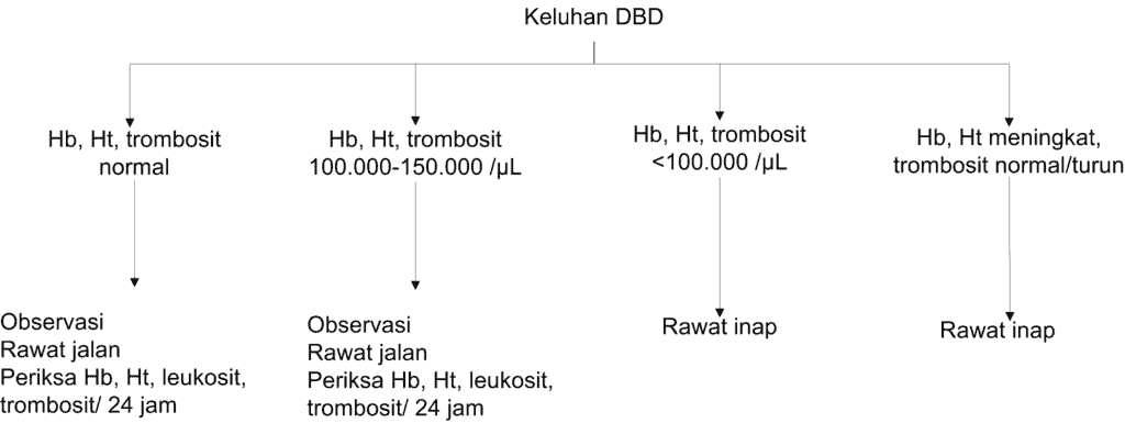 Protokol 1 untuk kasus tersangka DBD tanpa syok