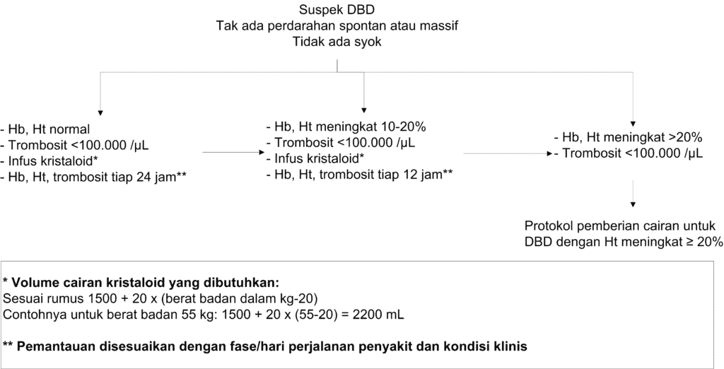 Protokol 2 penanganan kasus infeksi dengue dewasa dalam perawatan