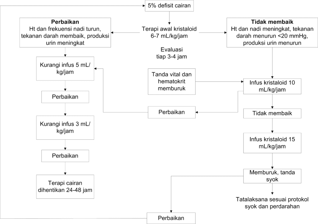 Skema terapi infeksi dengue dengan peningkatan hematokrit ≥20%