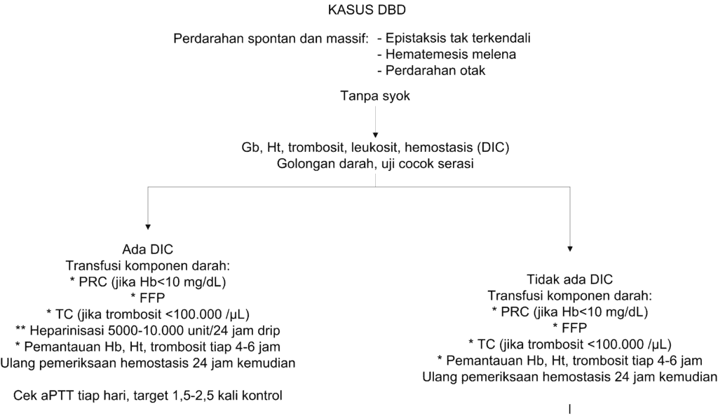 Skema tatalaksana DBD dengan perdarahan