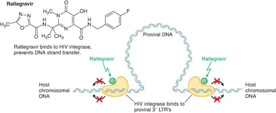 Mekanisme kerja obat integrase inhibitor