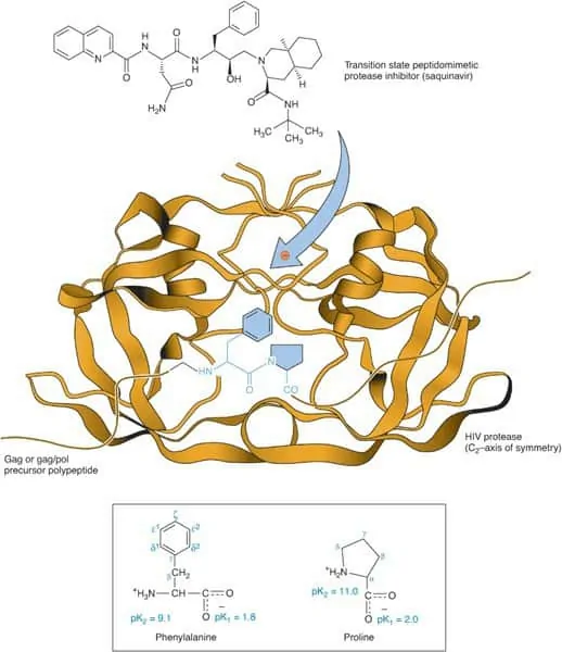 Mekanisme kerja protease inhibitor