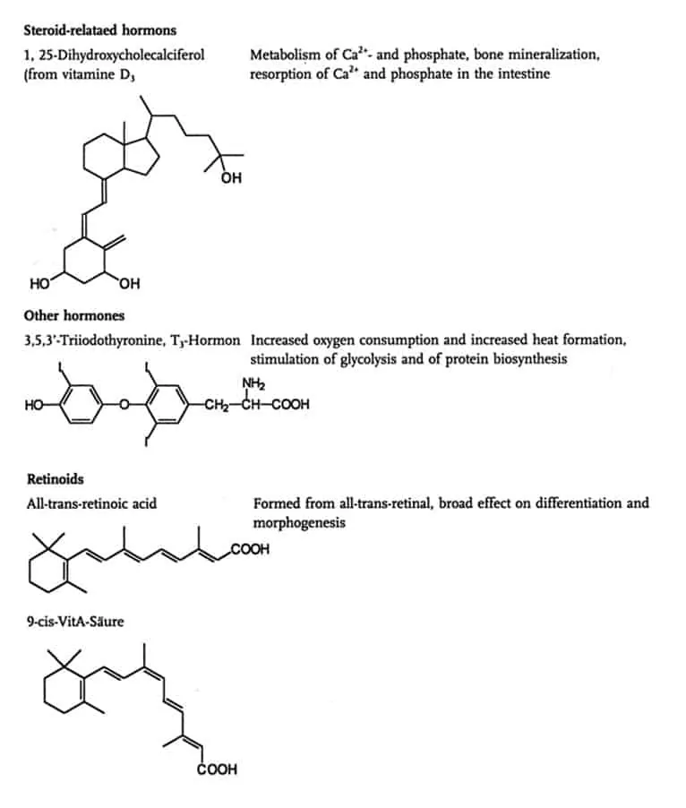 Struktur hormon vitamin D3, tiroid, dan retinoid