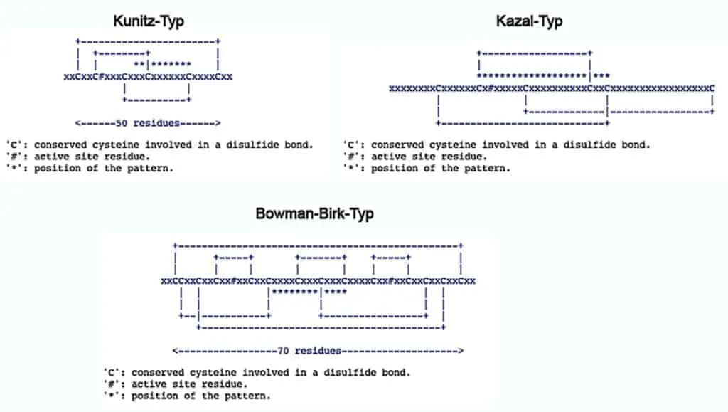 Contoh inhibitor serine proteinase