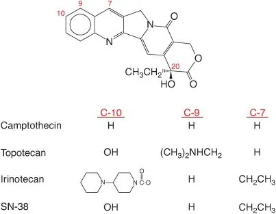Gambaran molekul dari jenis obat kemoterapi analog camptothecin