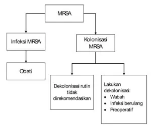 Penanganan infeksi MRSA
