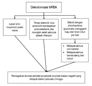Metode dekolonisasi MRSA