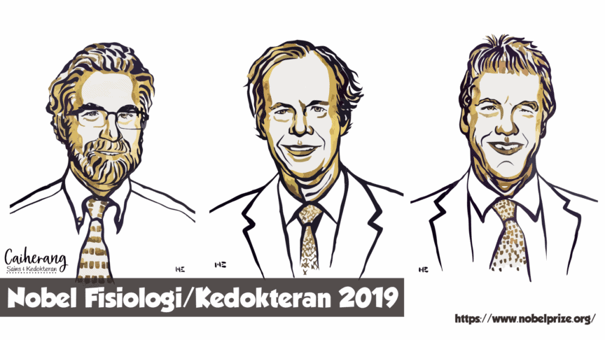 Penerima hadiah Nobel Fisiologi/Kedokteran 2019: William G. Kaelin Jr, Sir Peter J. Ratcliffe, dan Gregg L. Semenza