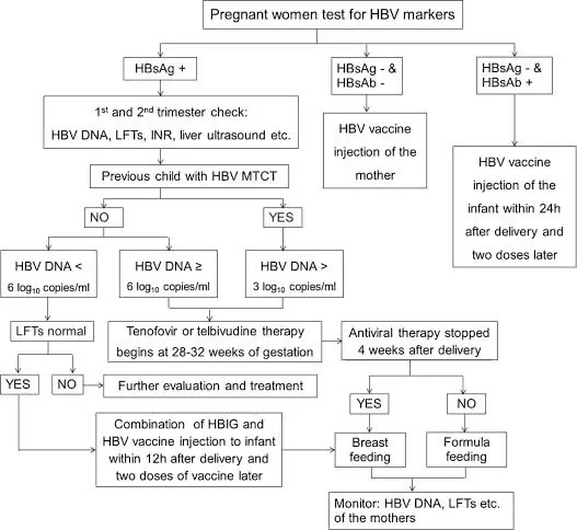 Algortime pemberian terapi untuk hepatitis B pada kehamilan
