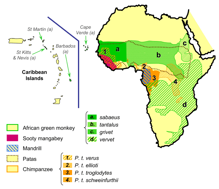 Sebaran geografis SIV di Afrika
