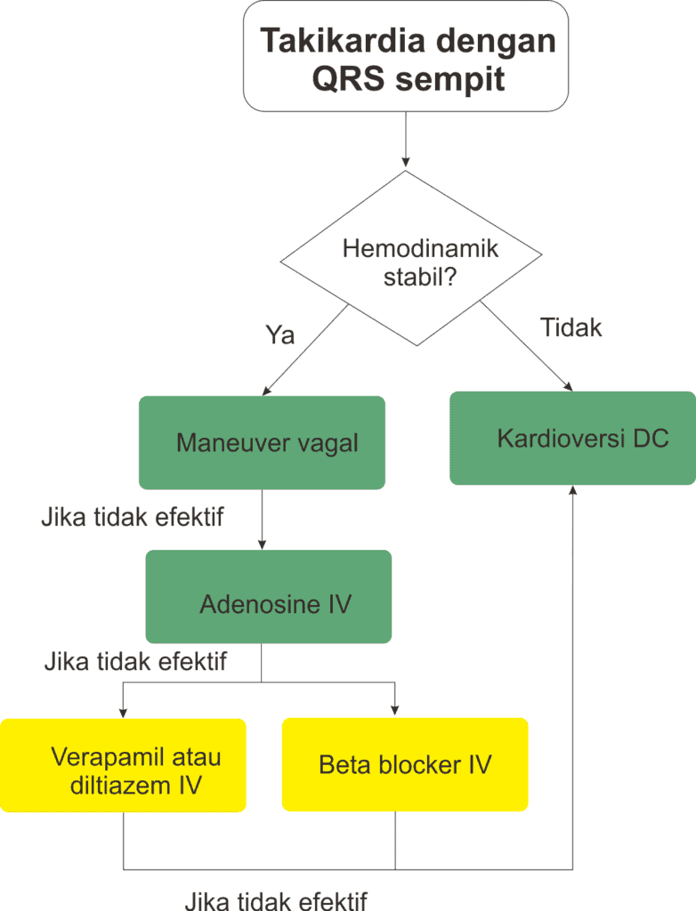 Algoritme penanganan akut takikardia reguler dengan QRS sempit