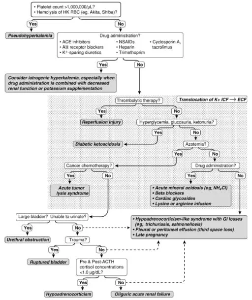 Algoritma penentuan etiologi hiperkalemia