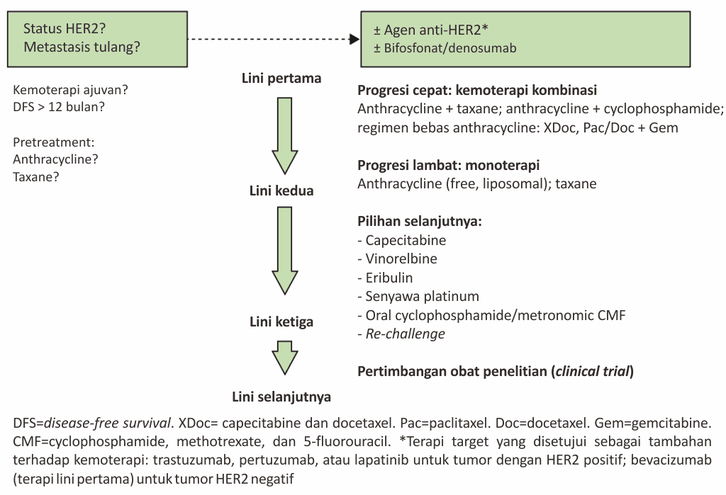 Pemberian kemoterapi untuk MBC