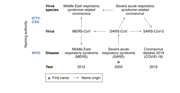 Penamaan virus dan penyakit pada SARS, MERS, dan COVID-19