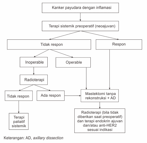 Skema tatalaksana kanker payudara dengan inflamasi.