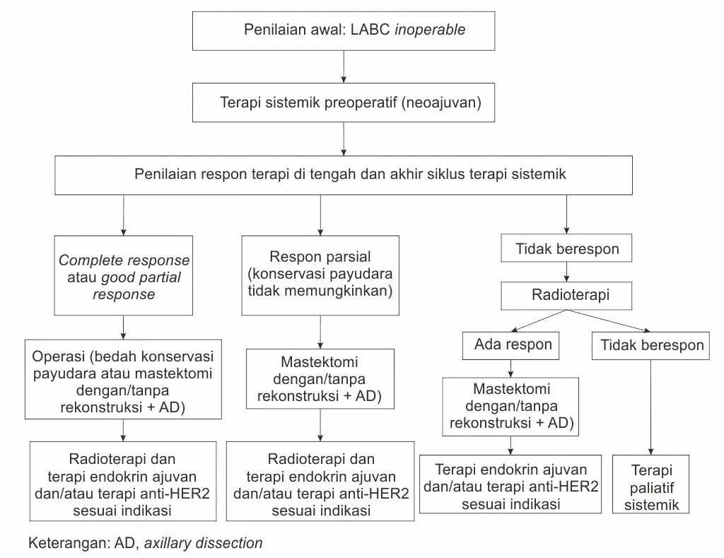 Skema terapi locally advanced breast caner (LABC)