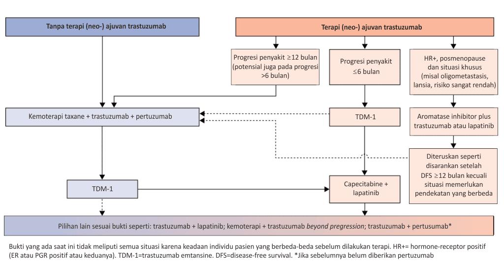 Kemoterapi pada ABC dengan HER2 positif