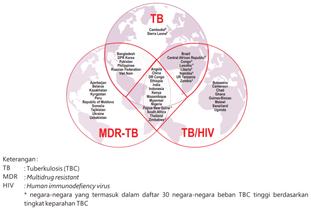 Negara-negara dengan beban tuberkulosis terbesar