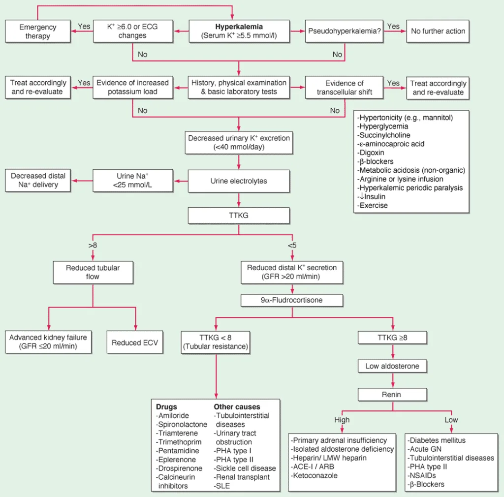 Pendekatan diagnosis hiperkalemia
