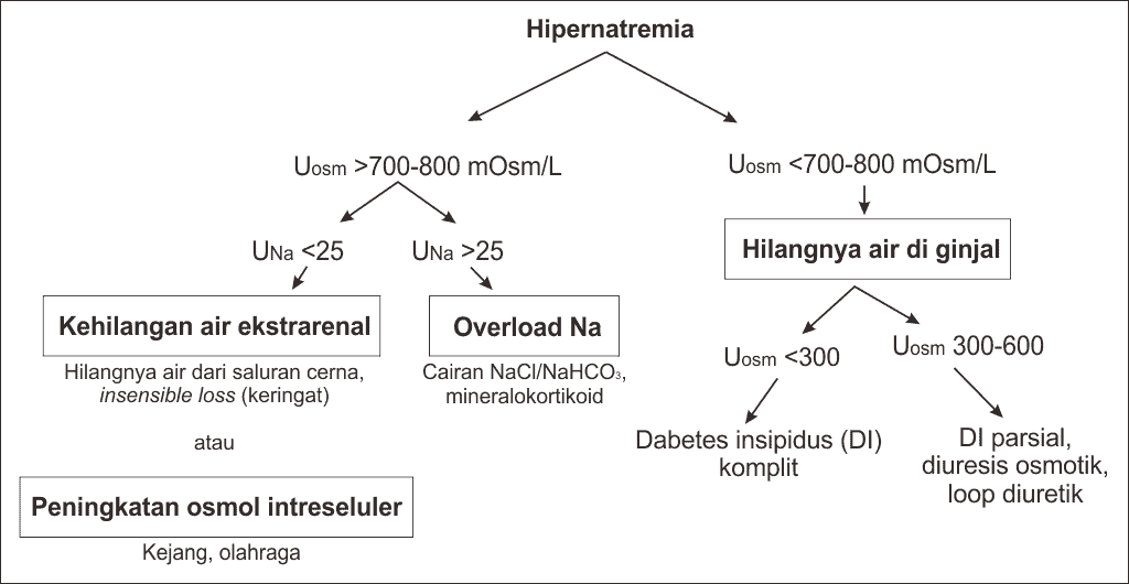 Pendekatan diagnosis hipernatremia