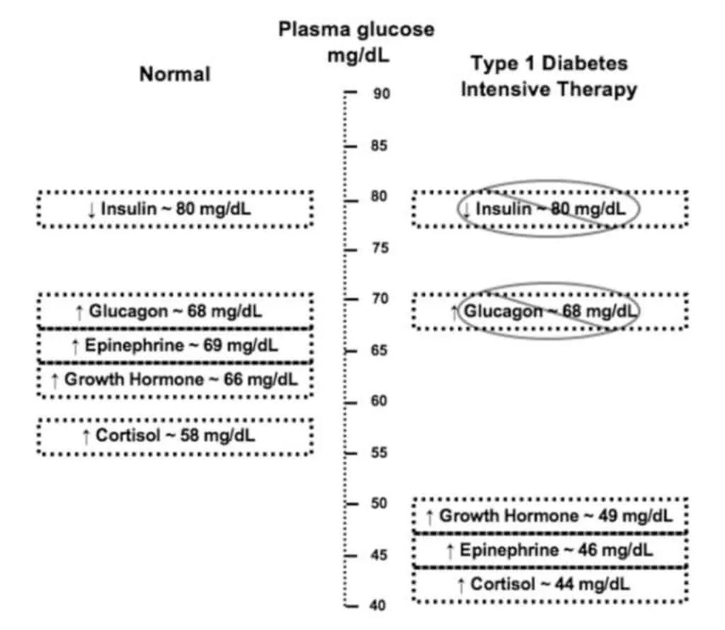 Respon penderita diabetes tipe I terhadap hipoglikemia dibandingkan subjek normal.