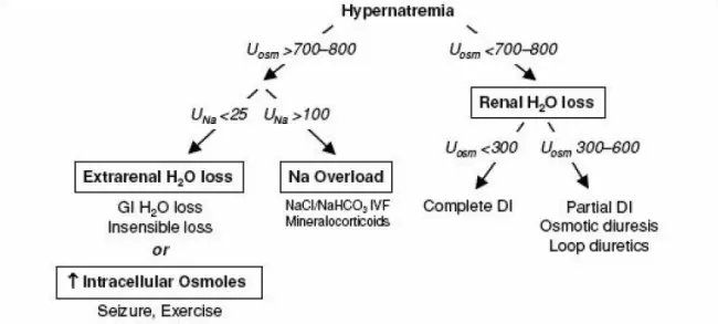 Approach to the diagnosis of hypernatremia.
