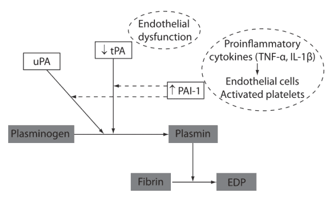 Penekanan aktivitas sistem fibrinolitik oleh inflamasi
