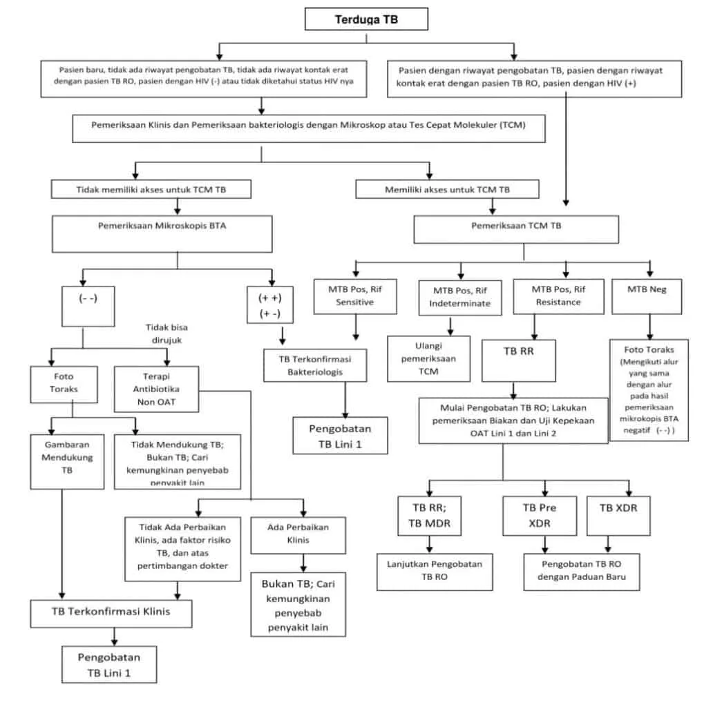 Alur diagnosis tuberkulosis di Indonesia