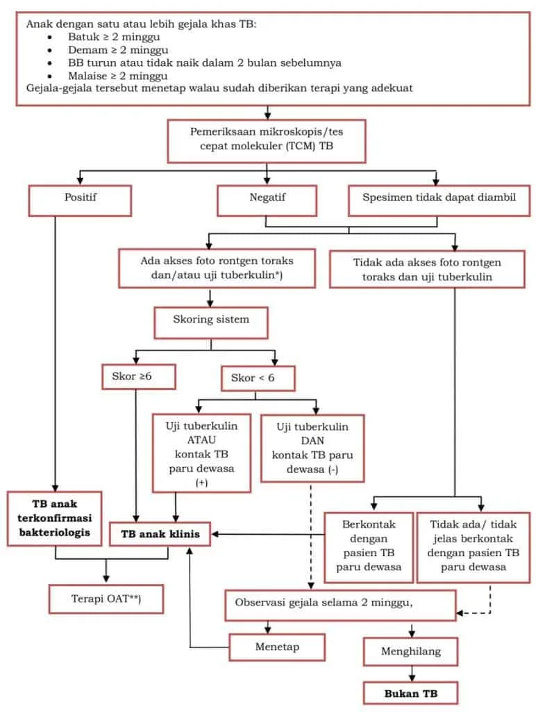 Alur diagnosis tuberkulosis pada anak