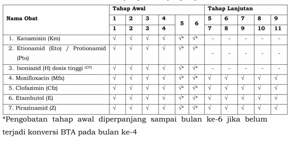 Jenis obat dan durasi pengobatan jangka pendek TB-RO