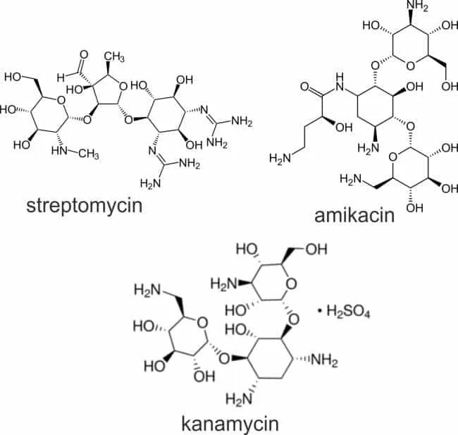 Struktur streptomycin, amikacin, dan kanamycin