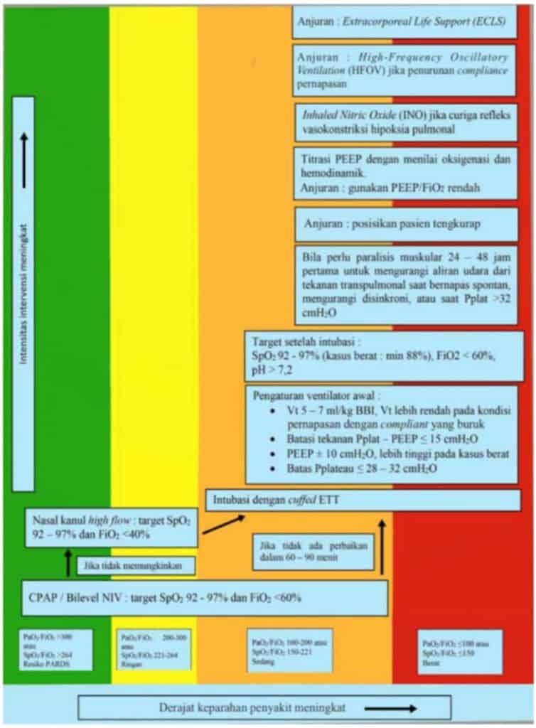 Algoritma tatalaksana ARDS pada anak dengan infeksi Covid-19
