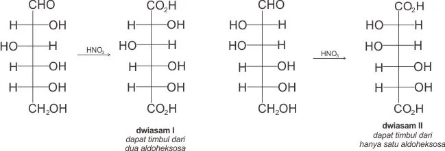Dwiasam I dapat berasal dari dua aldoheksosa ((+)-gulosa dan (+)-glukosa) sedangkan dwiasam II hanya mungkin berasa dari satu aldoheksosa