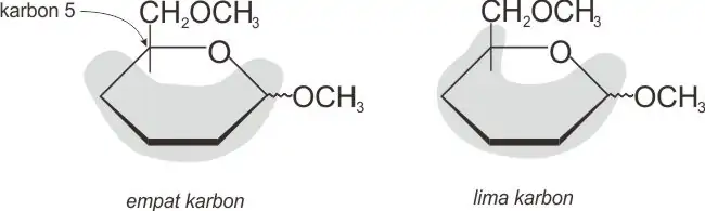 Karbon 5 mengikat gugus OH dalam glikosida terhidrolisis