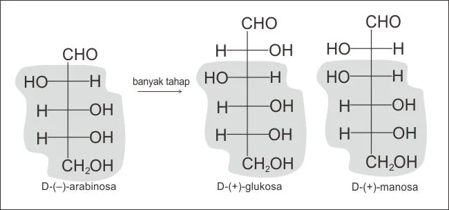 Kesamaan konfigurasi D-(+)-glukosa dan D-(+)-manosa diperoleh dari reaksi Kiliani-Fischer