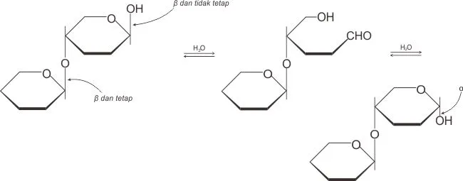 Kesetimbangan bentuk anomer dan struktur rantai terbuka dari suatu disakarida