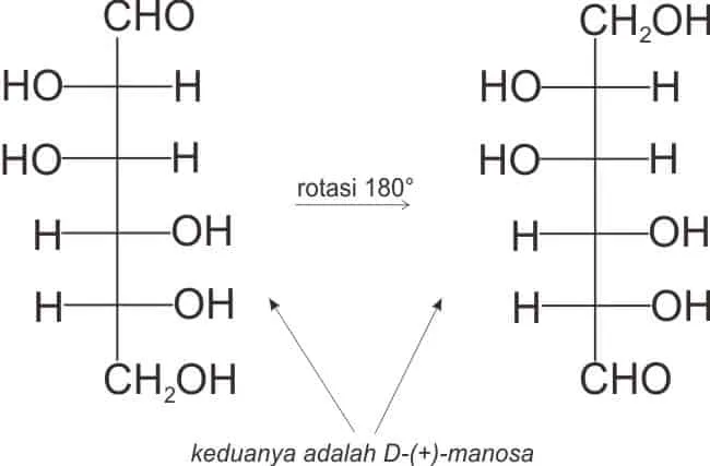 Menilai monosakarida penghasil dwiasam dengan rotasi 180°. Pada manosa, rotasi tetap menghasilkan manosa