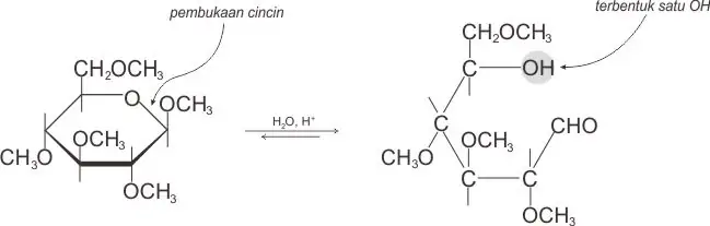 Hidrolisis asetal menghasilkan satu gugus OH (hidroksil)