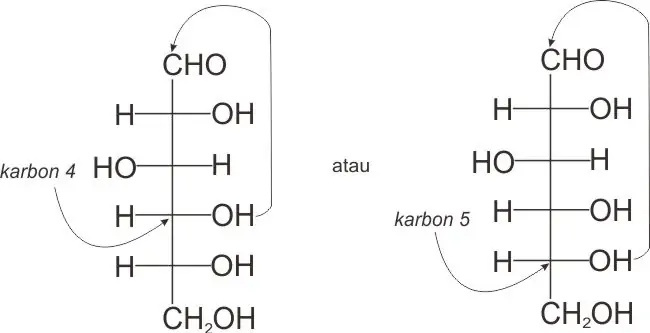 Pembentukan hemiasetal intramolekul glukosa pada karbon 4 atau karbon 5