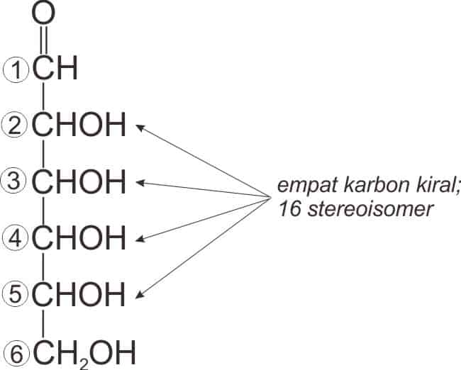Posisi empat karbon kiral pada D-aldosa