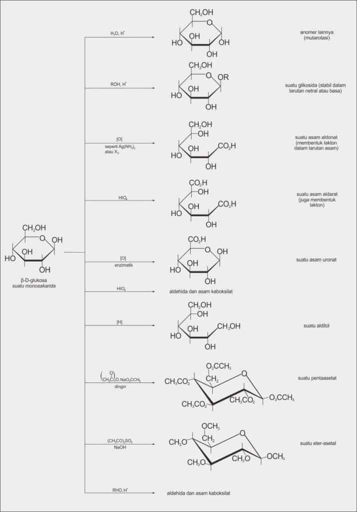 Rangkuman reaksi-reaksi penting dari monosakarida