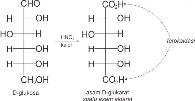 Reaksi pembentukan suatu asam aldarat, yakni dari D-glukosa menjadi asam-D-glukarat