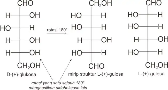 Rotasi D-(+)-glukosa menghasilkan L-(+)-gulosa