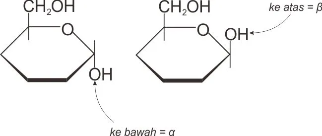 Struktur α-anomer dan β-anomer dari D-glukosa
