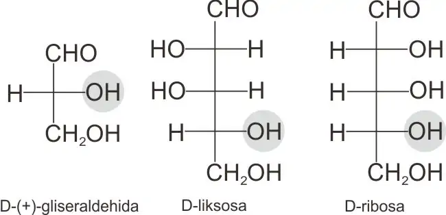 Struktur D-liksosa dan D-ribosa